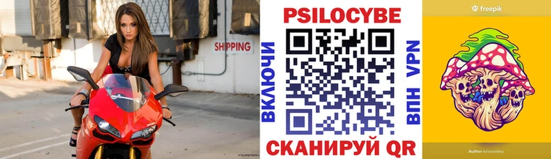 где найти   Тырныауз  Псилоцибиновые грибы ЛСД 